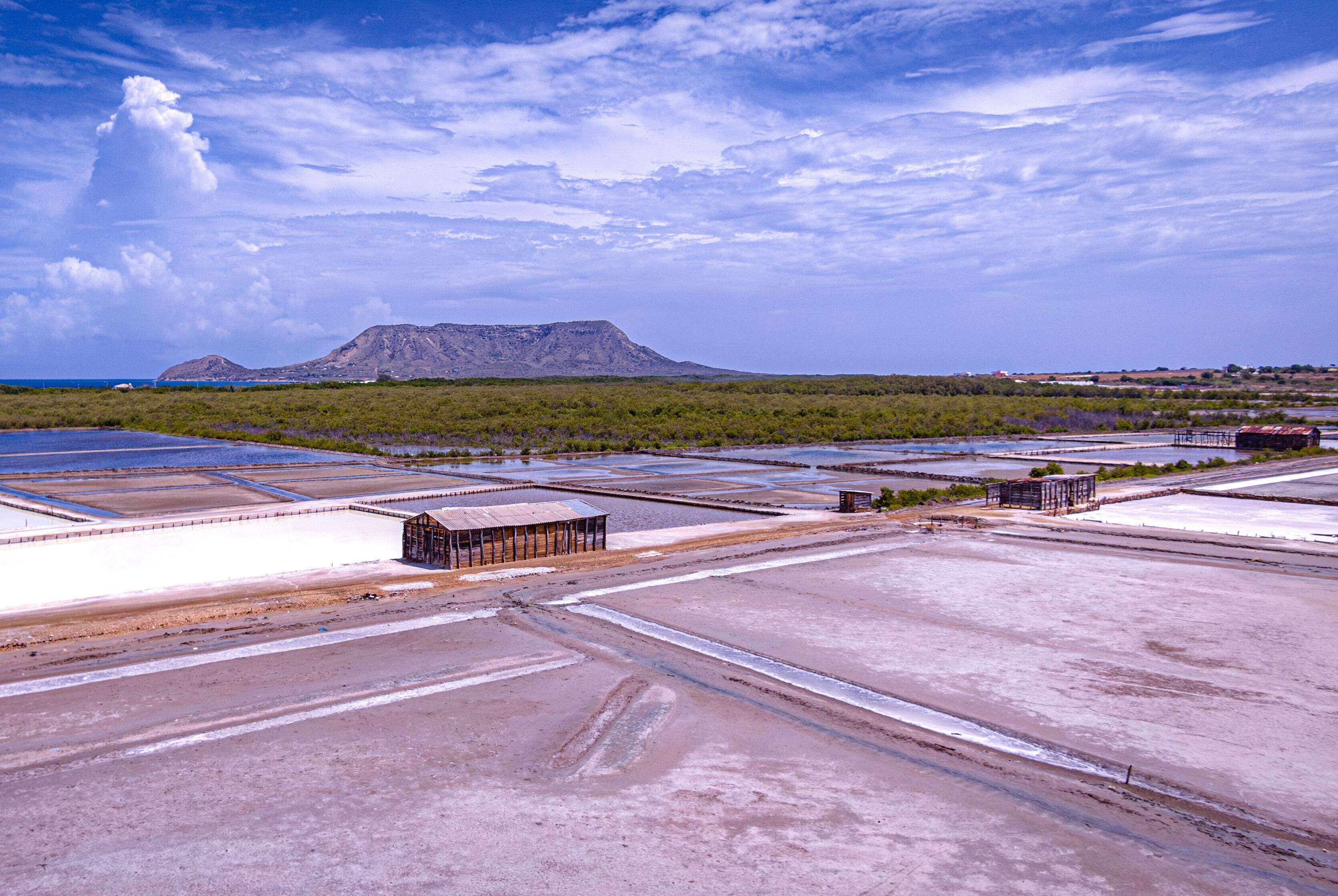Una planicie salina con estanques rectangulares y algunos edificios.