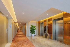 A hotel corridor with a long hallway, elevators, and a potted plant.