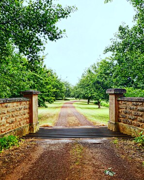 Property grounds - The ultimate farm retreat- reset and unwind! (Merino)