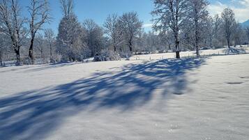 Schneebedeckte Landschaft mit Bäumen und blauem Himmel.