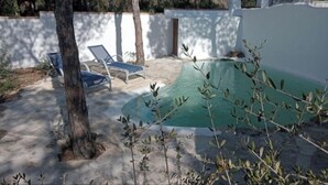 A swimming pool with two lounge chairs and a tree in a backyard setting.