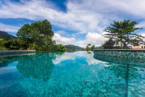 Outdoor pool, pool umbrellas, sun loungers - Dendrobium House (Puliyadda)