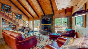 Télévision, cheminée, lecteur de DVD, livres