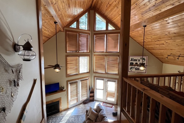 Smart TV, chimenea, videojuegos, libros