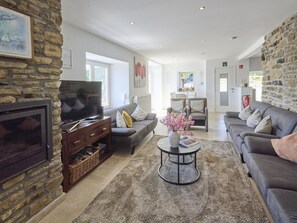 Télévision, cheminée, lecteur de DVD