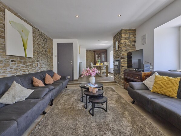 Televisión, chimenea y reproductor de DVD 