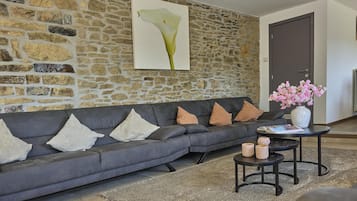 电视、壁炉、DVD 播放器