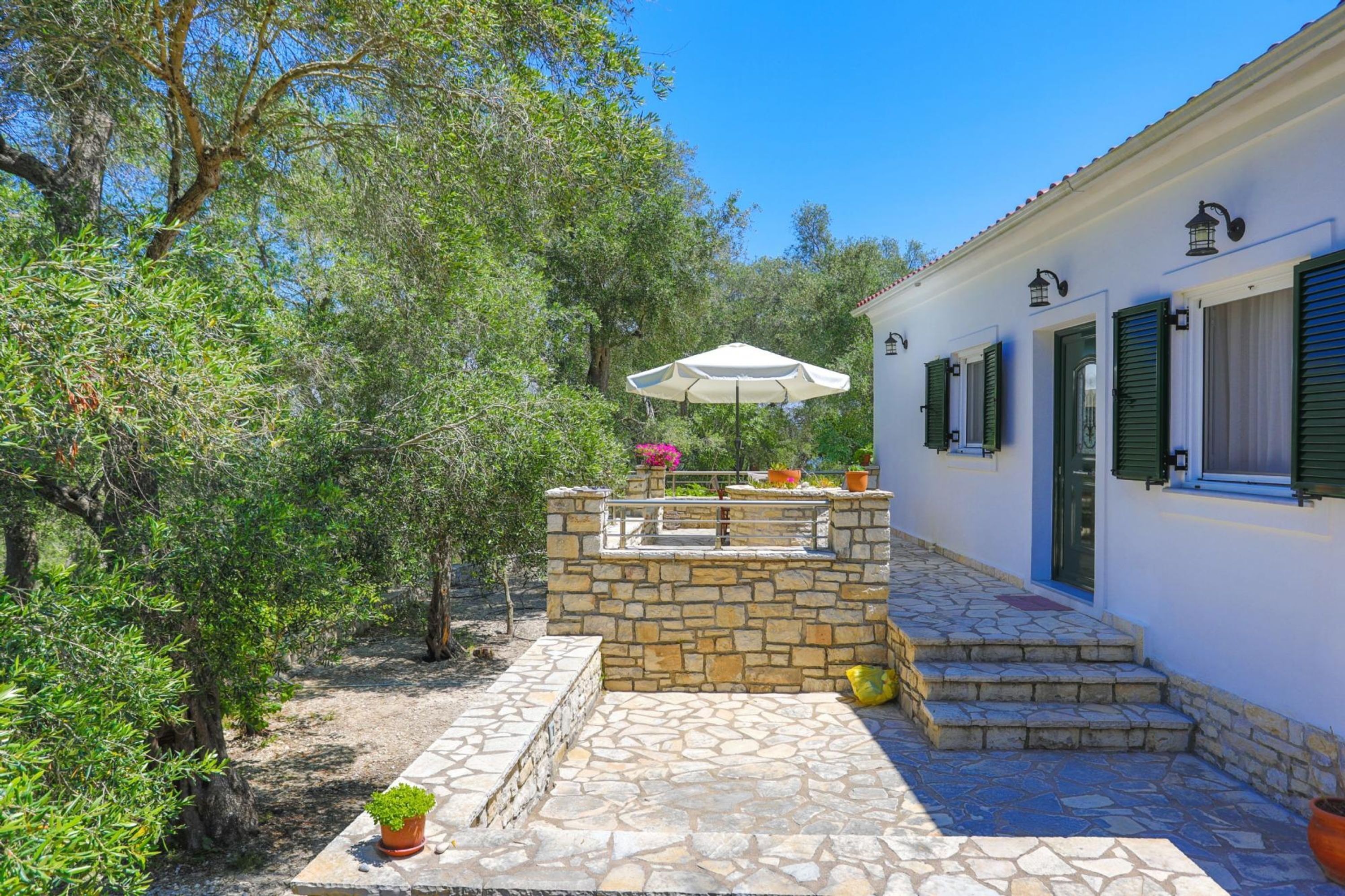 A stone patio with a white umbrella, surrounded by olive trees and potted plants, leading to a white building with green shutters.
