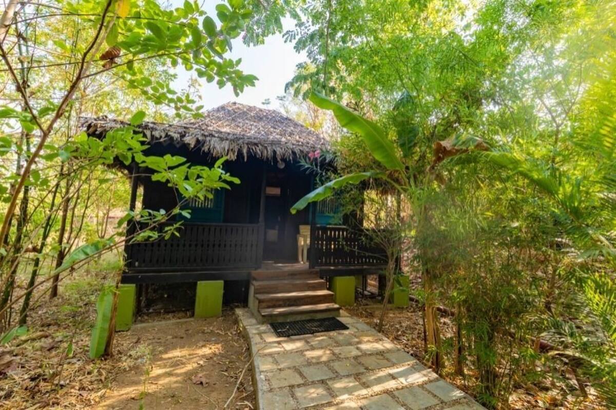 A rustic hut with a thatched roof, surrounded by lush greenery and a stone pathway leading to it.