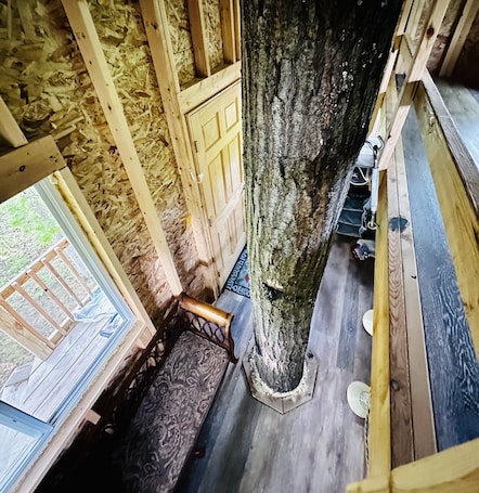 Interior. Immerse yourself with nature at this unique living tree-treehouse!