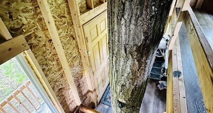 Immerse yourself with nature at this unique living tree-treehouse!