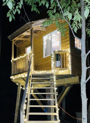 Immerse yourself with nature at this unique living tree-treehouse!  