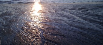 Entdecke die Perfekte Kombination aus Ländlicher Idylle und Urbanem Flair