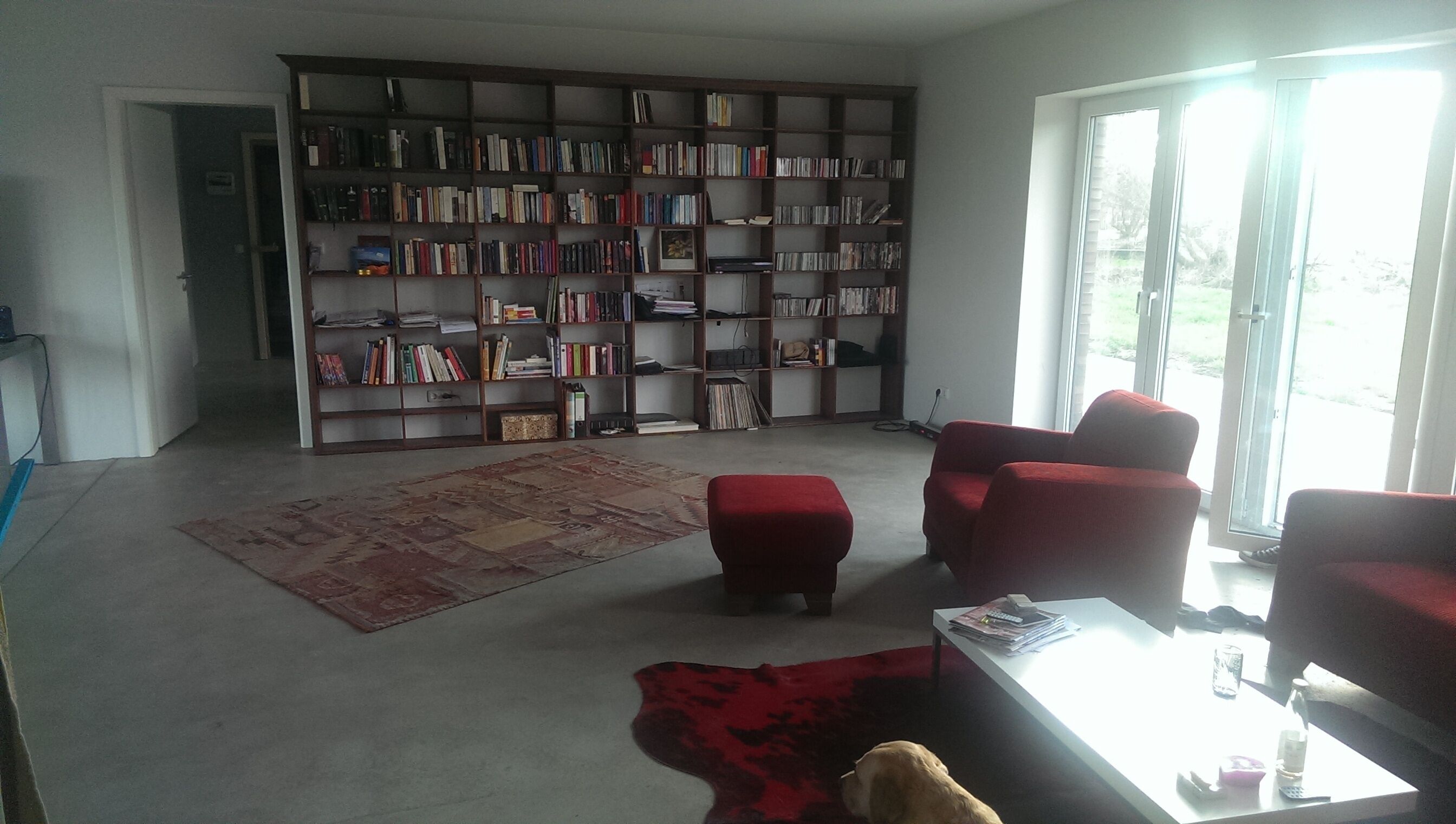Un salón amplio con una gran estantería, un tapete rojo y un perro.
