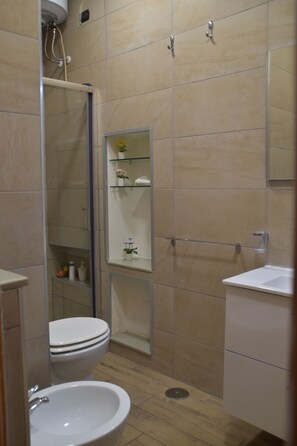 Shower, hair dryer, bidet, towels