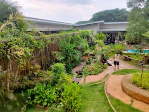 A lush garden with a variety of plants and a small pond.