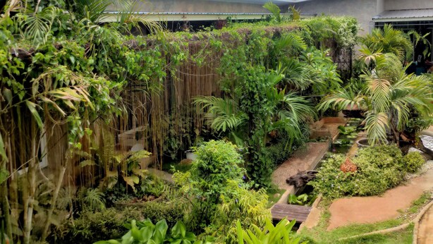Een weelderige tuin met verschillende planten en een pad.