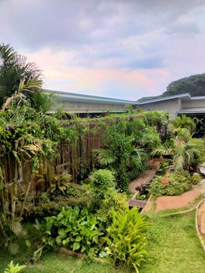 Um jardim exuberante com diversas plantas e um caminho.