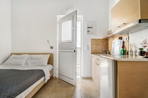 Une chambre avec un lit, une salle de bain avec une douche et une kitchenette équipée d’un réfrigérateur.