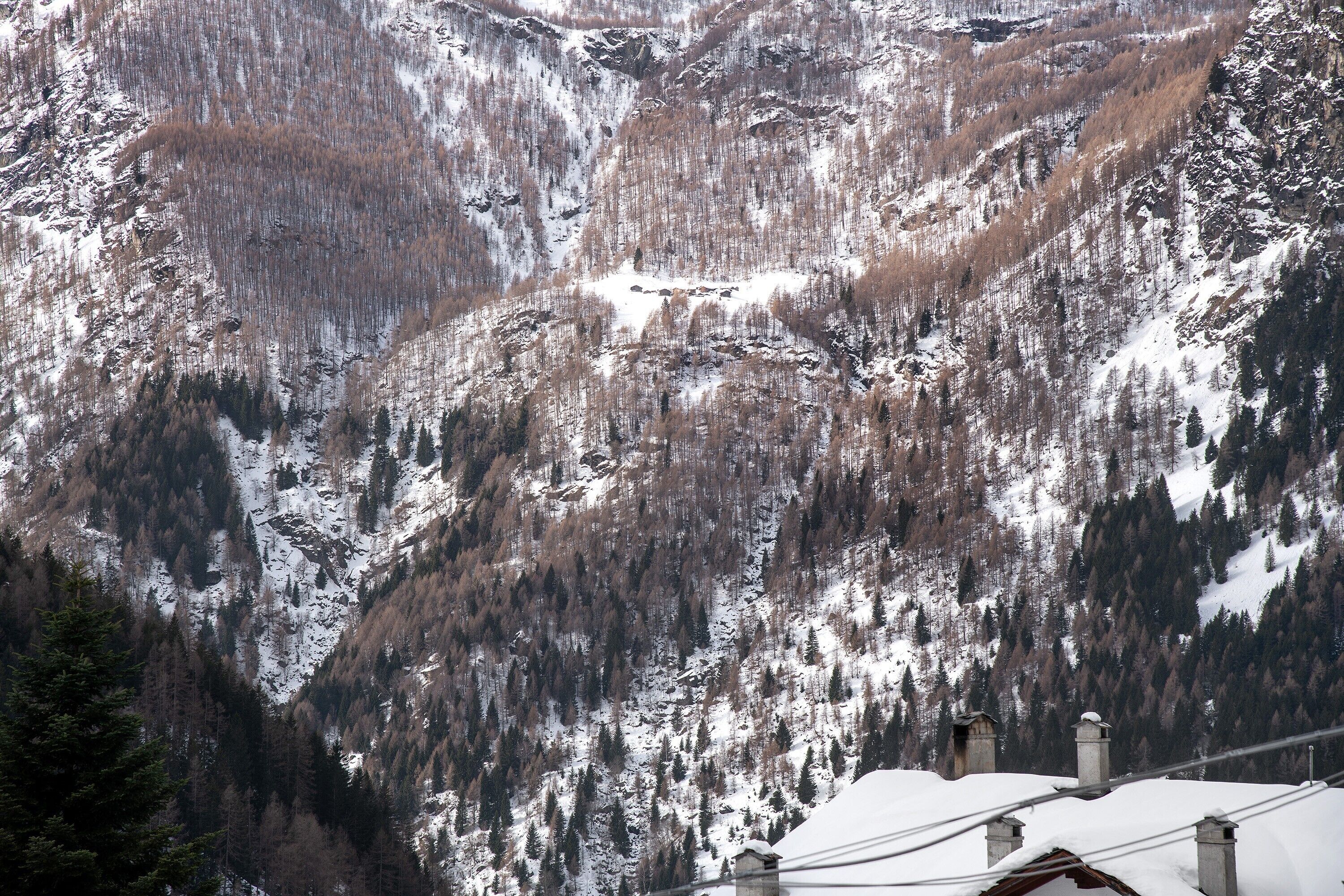 Paisaje montañoso con árboles nevados y un edificio con chimeneas.