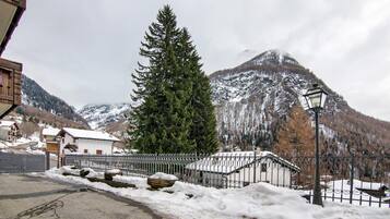 Ett snötäckt berg, ett högt, vintergrönt träd och en byggnad med ett snötäckt tak.