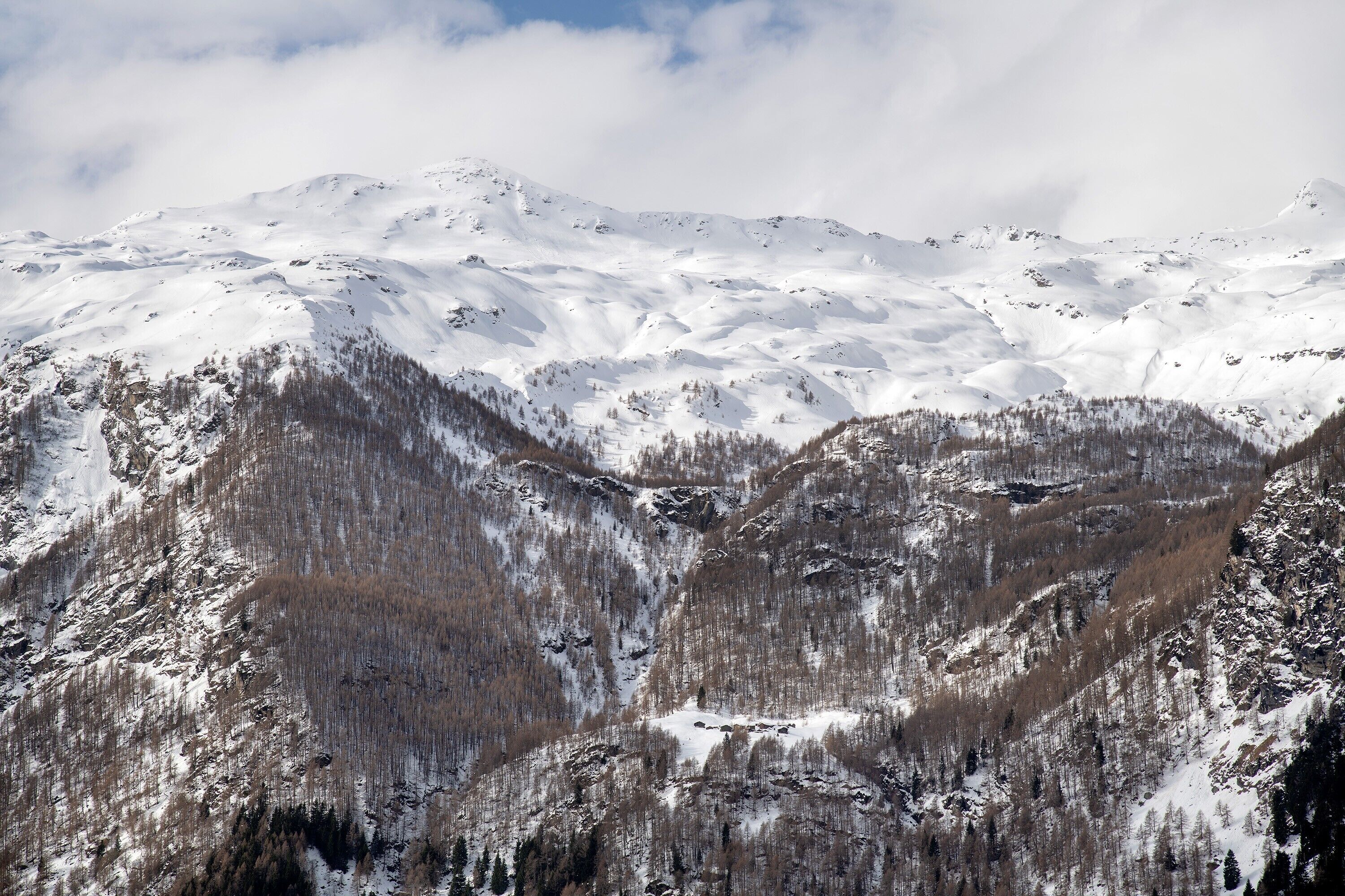 A mountainous landscape with snow-covered peaks and forested valleys.