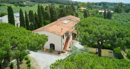 Farmhouse "Antichi Palmenti - Alloro" with Shared Garden & A/C