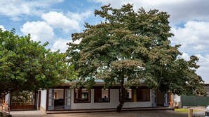 Un edificio tradicional con un gran árbol en frente, puertas de madera y un pequeño porche.