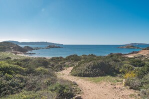 Playa en los alrededores 
