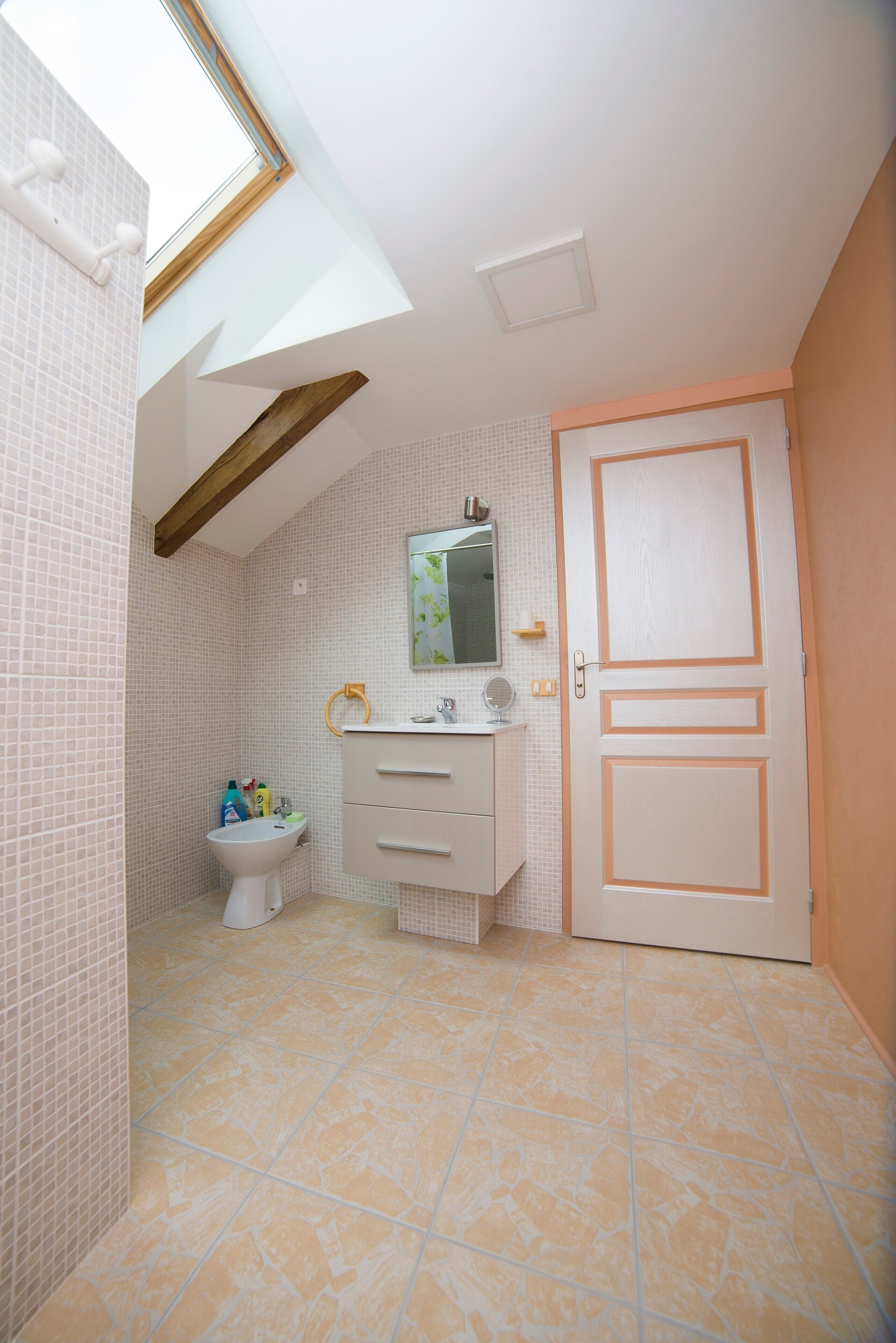 A bathroom with a skylight, a toilet, a sink with a mirror, and a door.