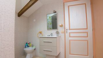 A bathroom with a skylight, a toilet, a sink with a mirror, and a door.