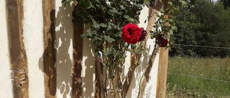 تفاصيل الفندق من الخارج