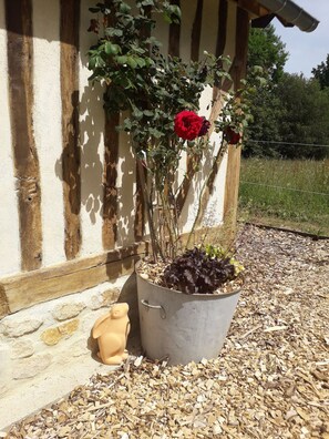 Détail de l’extérieur