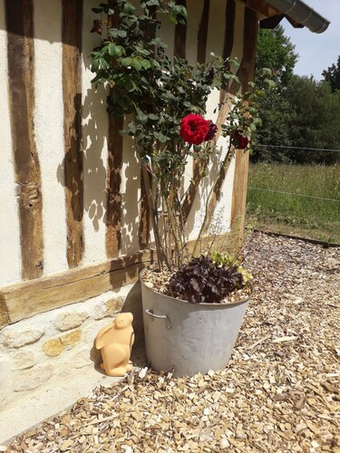 Petite maison "Le chouette insolite" avec jardin privé et bain nordique