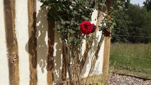 A potted plant with a red rose and other foliage, a small figurine, and a building with wooden beams and a white wall.