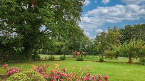 A grassy field with trees and pink flowers in the foreground.