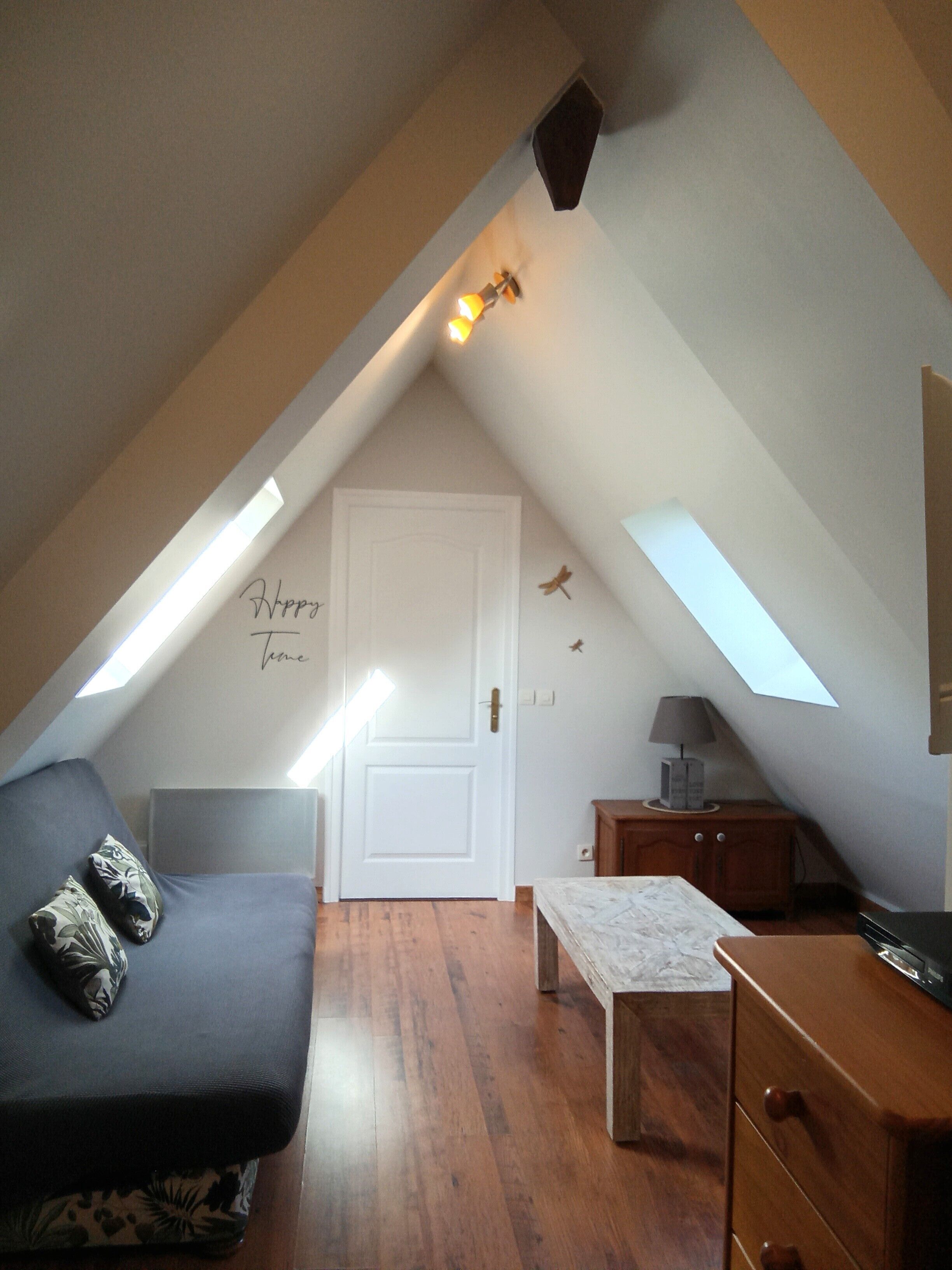 Tv, pejs, dvd-afspiller, bordtennisbord