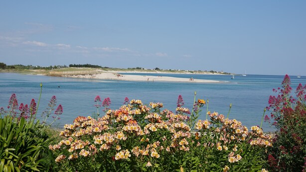 A beach with clear blue water, a sandy shore, and a line of flowers in the foreground. - Maison en Bois sur Grand Jardin et à 5 Minutes de la Plage (Plobannalec-Lesconil)