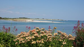 A beach with clear blue water, a sandy shore, and a line of flowers in the foreground.