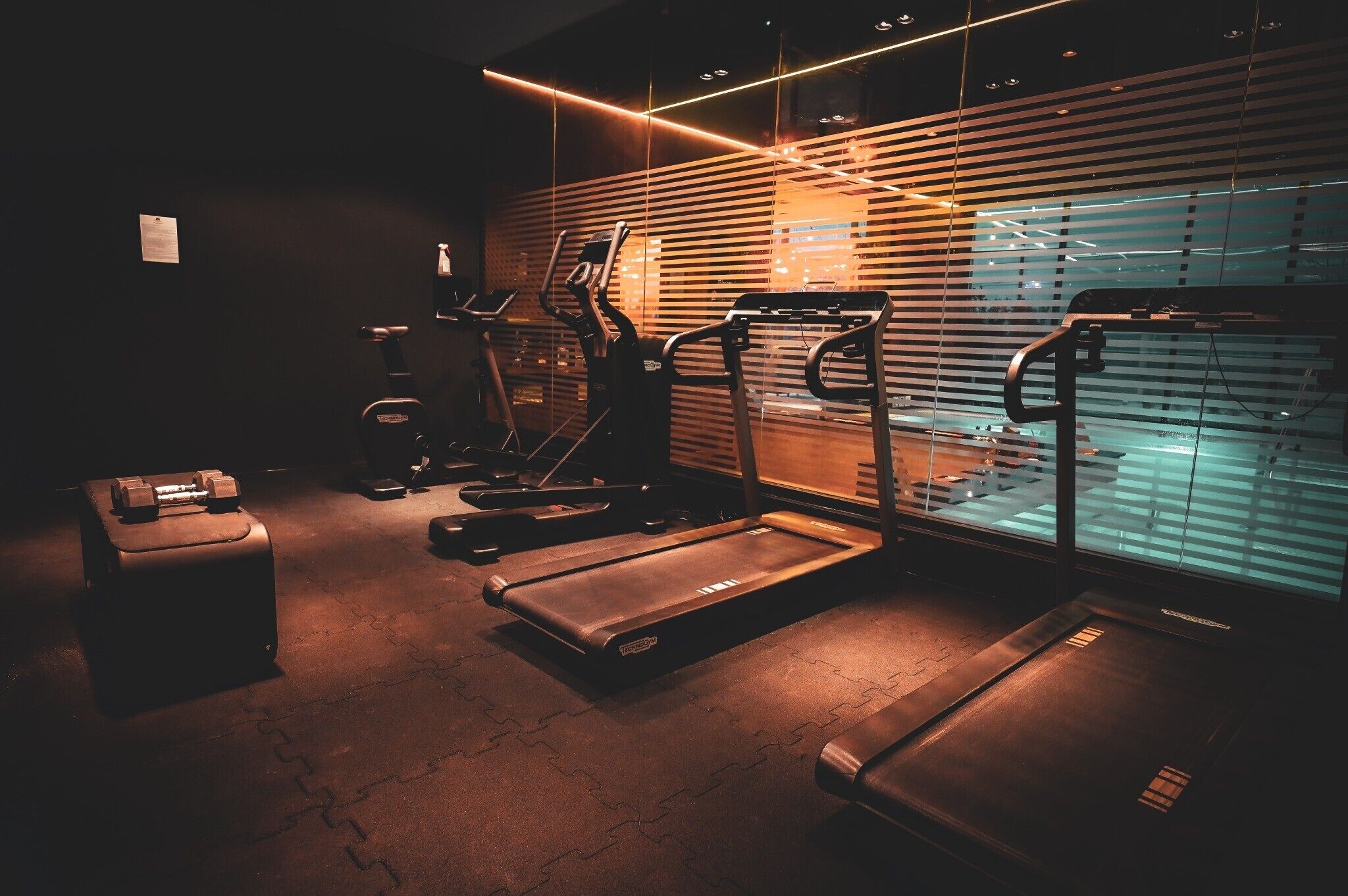 Gimnasio