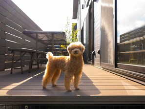 Outdoor dining - Rakuten STAY VILLA Yatsugatake 109 Simple modern room  8 people capacity Pets OK / Hokuto Yamanashi (Hokuto)