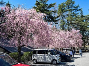 Property grounds - Rakuten STAY VILLA Yatsugatake 109 Simple modern room  8 people capacity Pets OK / Hokuto Yamanashi (Hokuto)