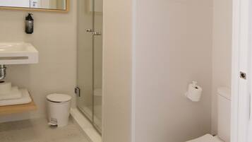 A bathroom with a glass shower enclosure, a white toilet, and a sink with a mirror above it.