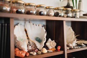 A wooden shelf with jars of spices and a variety of seashells and stones.