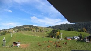 Paisagem rural com um campo verde, algumas vacas e um pequeno edifício ao longe.