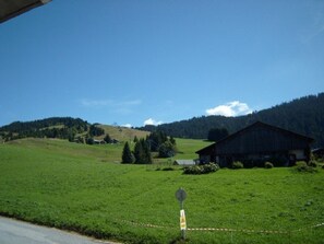 Área da propriedade