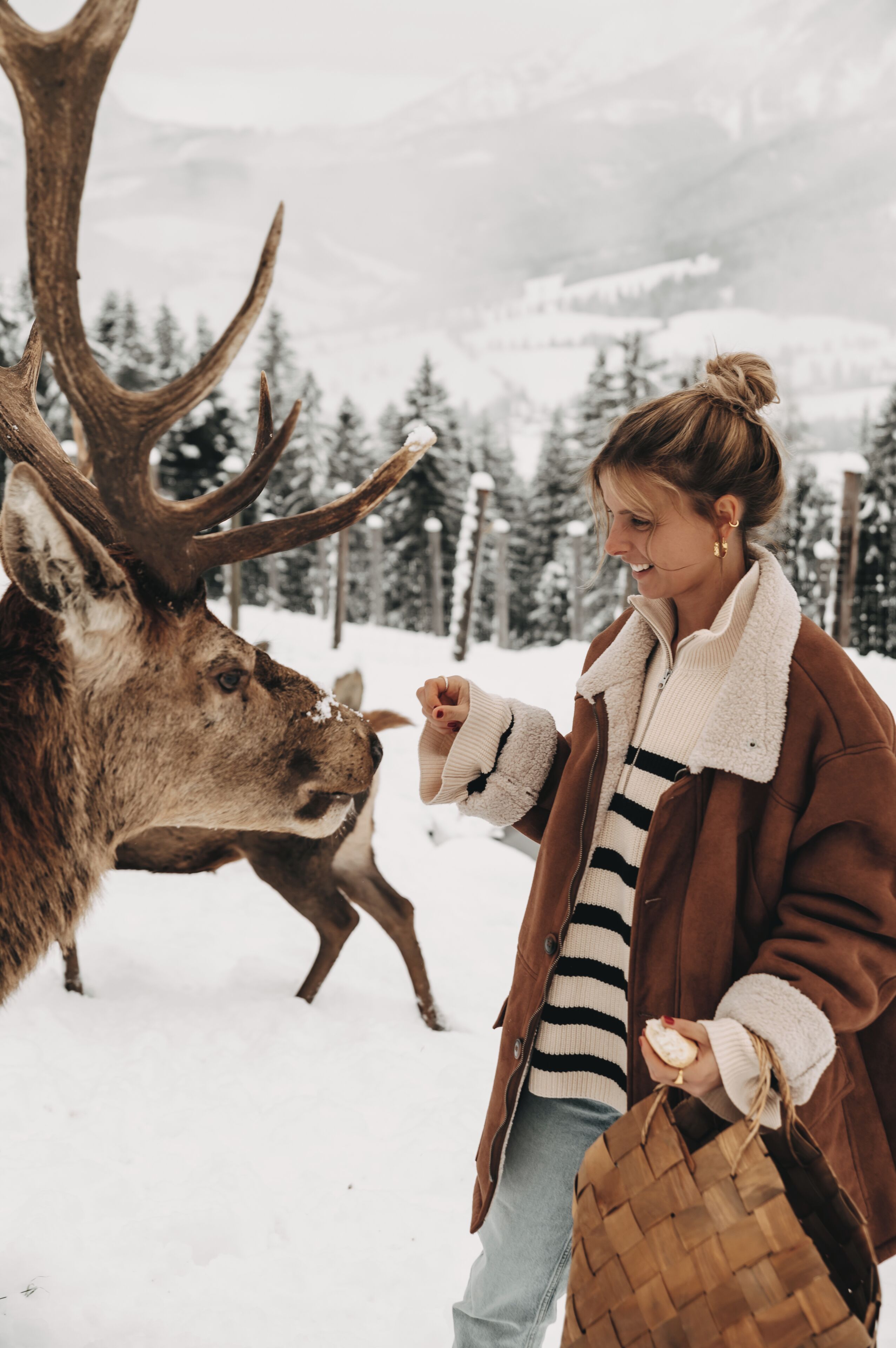 A person feeding a deer in a snowy landscape with trees and mountains in the background.