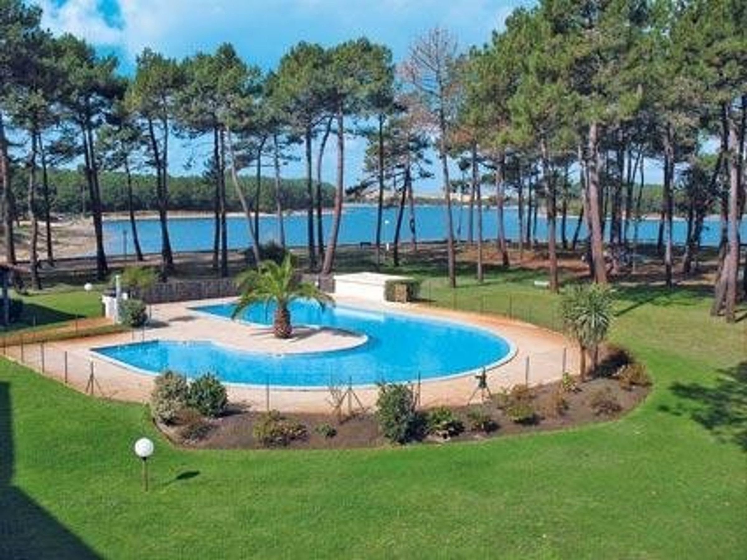 A swimming pool with a surrounding deck, trees, and a view of the sea.