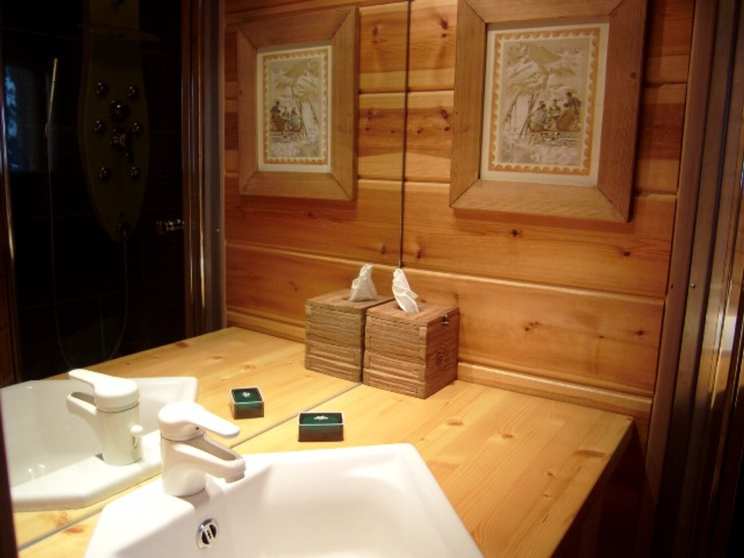 Une salle de bain rustique, aménagée dans une cabane en bois, avec un lavabo, des toilettes et une douche. On y trouve deux boîtes en bois contenant des mouchoirs, posées sur le comptoir.