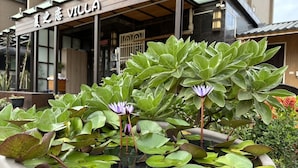 Un jardín de agua en maceta con flores de loto frente a un edificio con un letrero que dice "Villa".